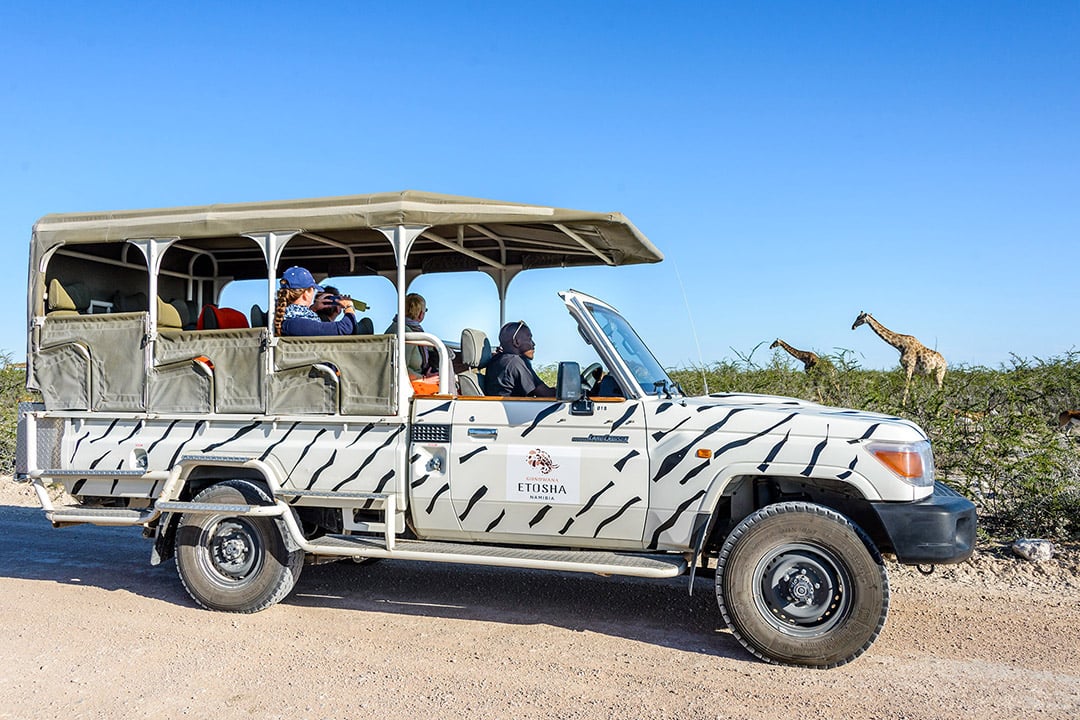 Etosha Safari Camping2go