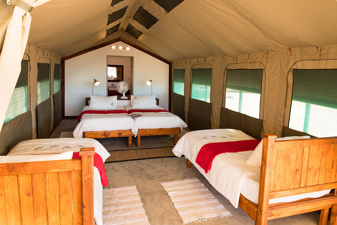 Etosha Safari Camping2go
