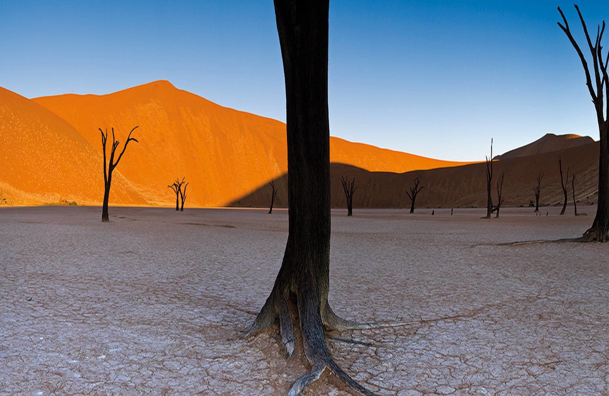Namib Desert Campsite